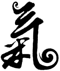 Shizenryu Ki logo